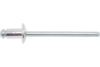 Заклепка, 4х 6, (100шт)